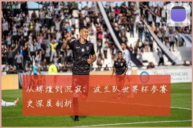 从辉煌到沉寂：波兰队世界杯参赛史深度剖析